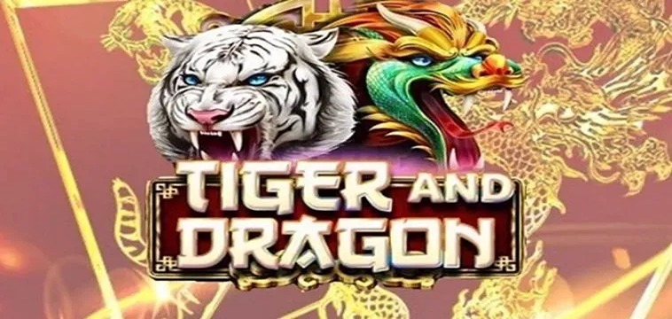 Trải Nghiệm Dragon Tiger Tại PK14: Hấp Dẫn Và Kịch Tính